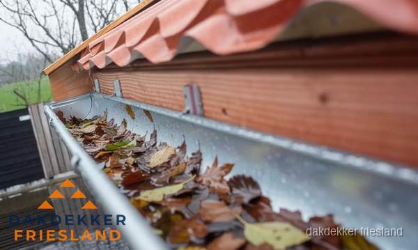 Dakgoot vol bladeren die gereinigd moet worden in Friesland Dakgoot vol bladeren die gereinigd moet worden in Friesland