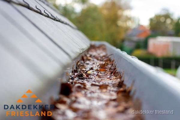 Verstopte dakgoot met bladeren schoonmaken in Friesland
