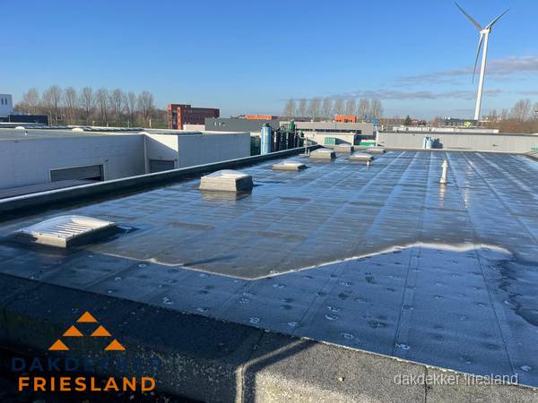 Plat dak bedrijfspand met bitumen dakbedekking en lichtkoepels in Friesland