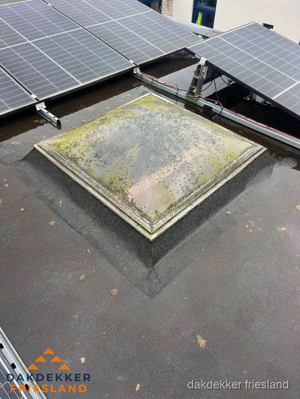 Vervuilde lichtkoepel op plat dak met zonnepanelen in Friesland