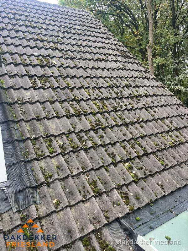 Verweerd pannendak met mosgroei dat renovatie nodig heeft in Friesland