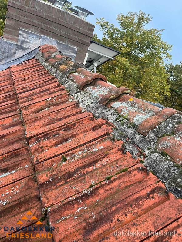 Verweerd hellend dak met mosgroei op nokvorst in Friesland