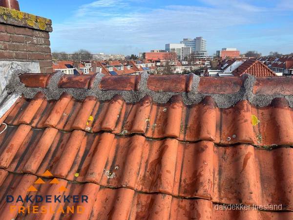 Pannendak met nokvorst en schoorsteen, dakrenovatie in Friesland